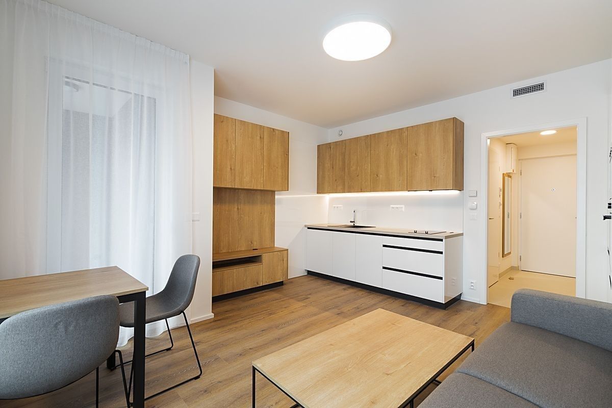 1+kk, Na Palouku, Praha - Strašnice, 29 m² - 1