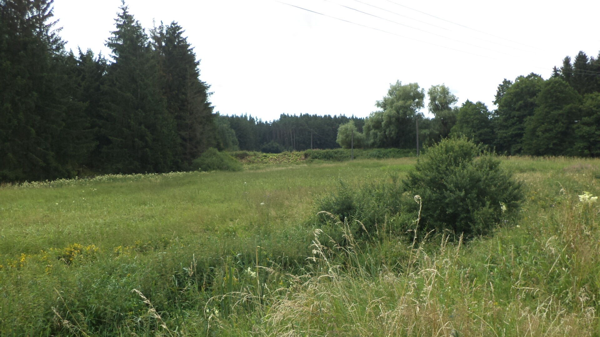 Zemědělský pozemek · 13 137 m² · Chodský Újezd Nahý Újezdec - 3