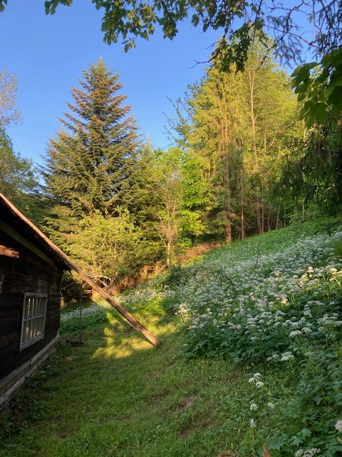 Chalupa · 987 65, Slovensko - 4