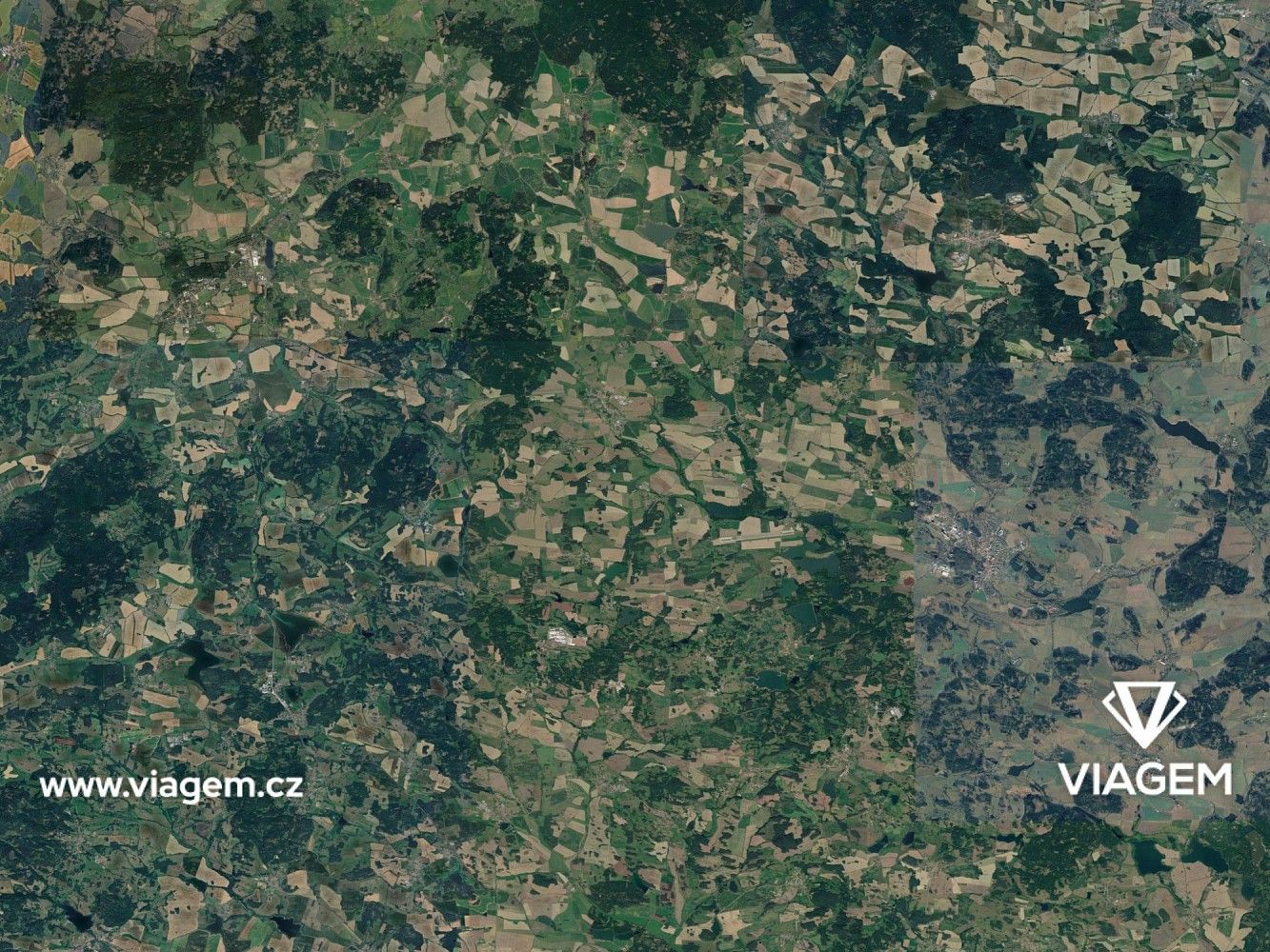 Les · Hradiště, okres Plzeň-jih, Plzeňský kraj - 3
