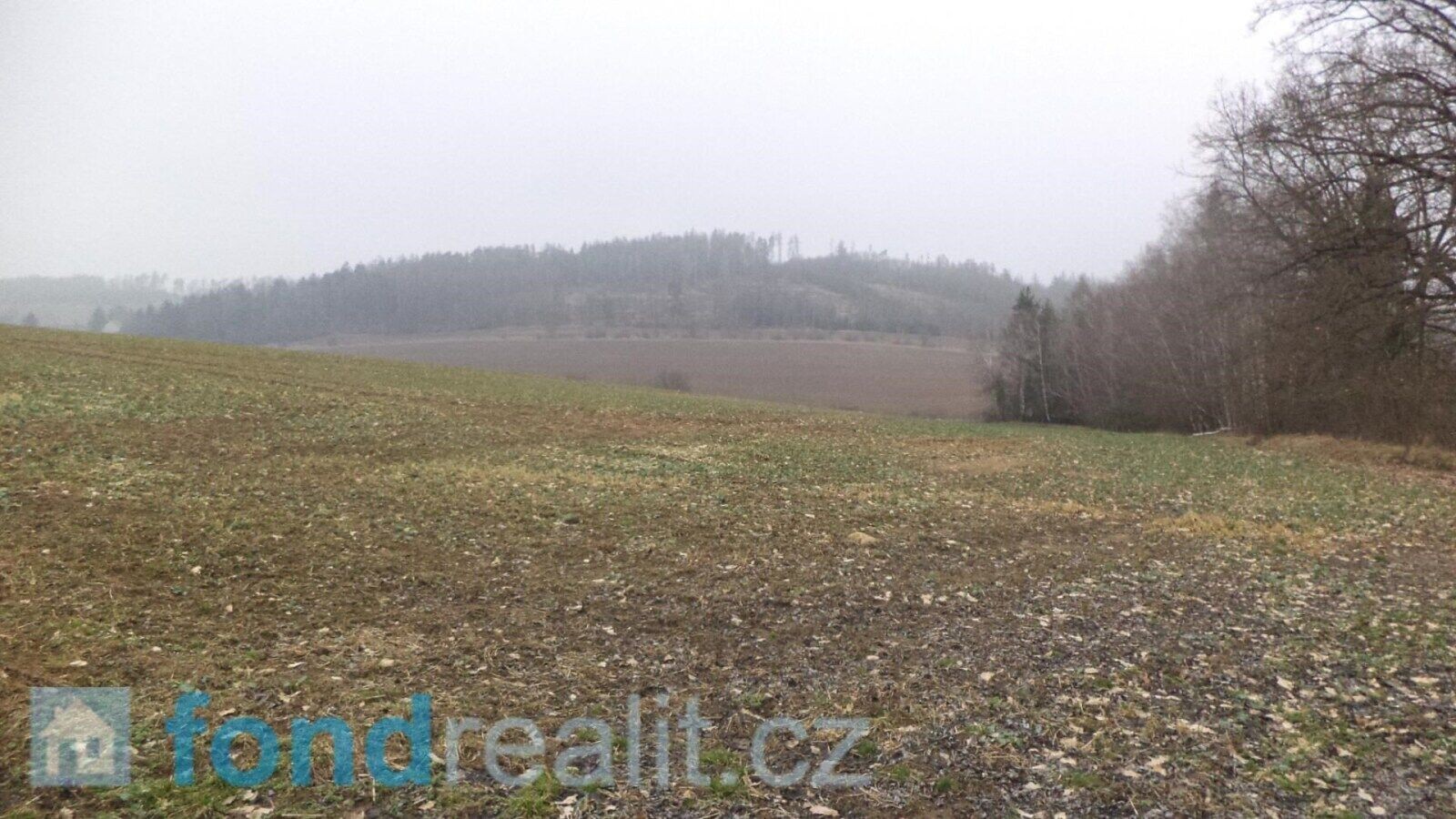Zemědělský pozemek · 41 964 m² · Zvěstov - 4