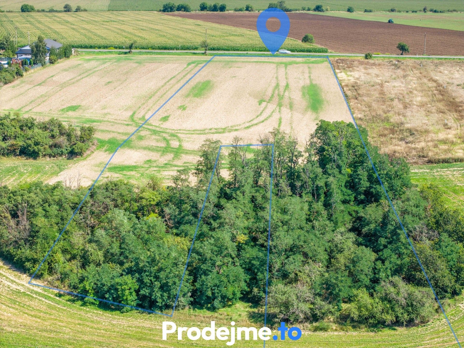 Prodej pozemek pro bydlení - Dyje, 9 718 m² - 5
