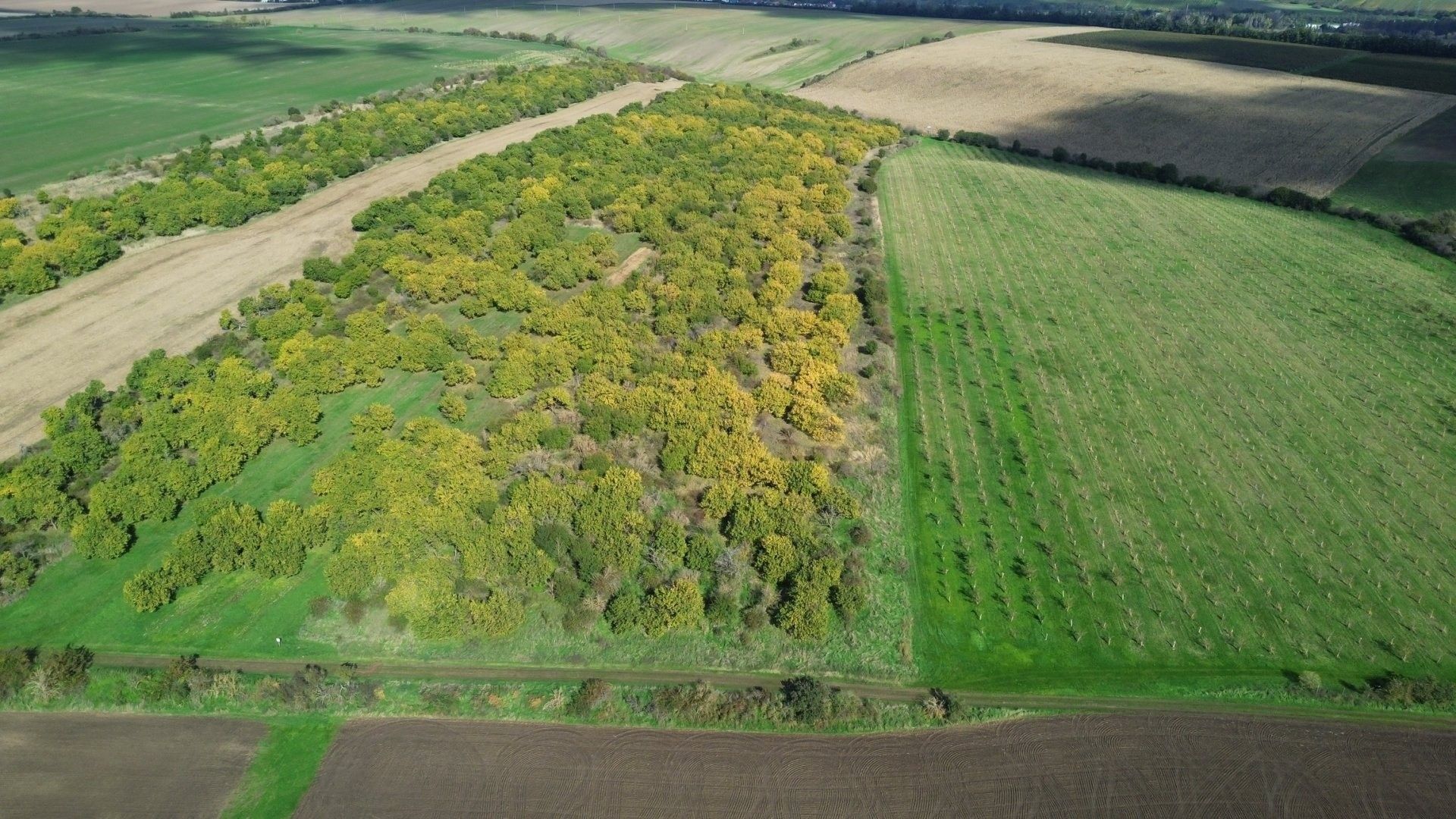 Ostatní, Hustopeče, 14 896 m²