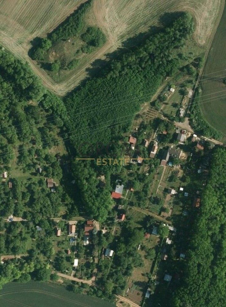 Prodej les - Vojkovice, okres Brno-venkov, Jihomoravský kraj - 5