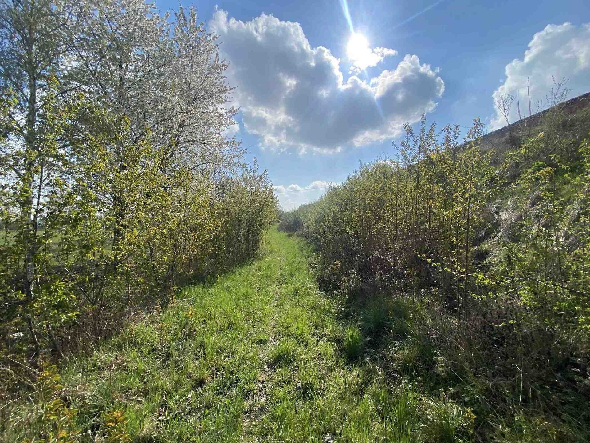 Prodej pozemek - Černčice, 3 560 m² - 1