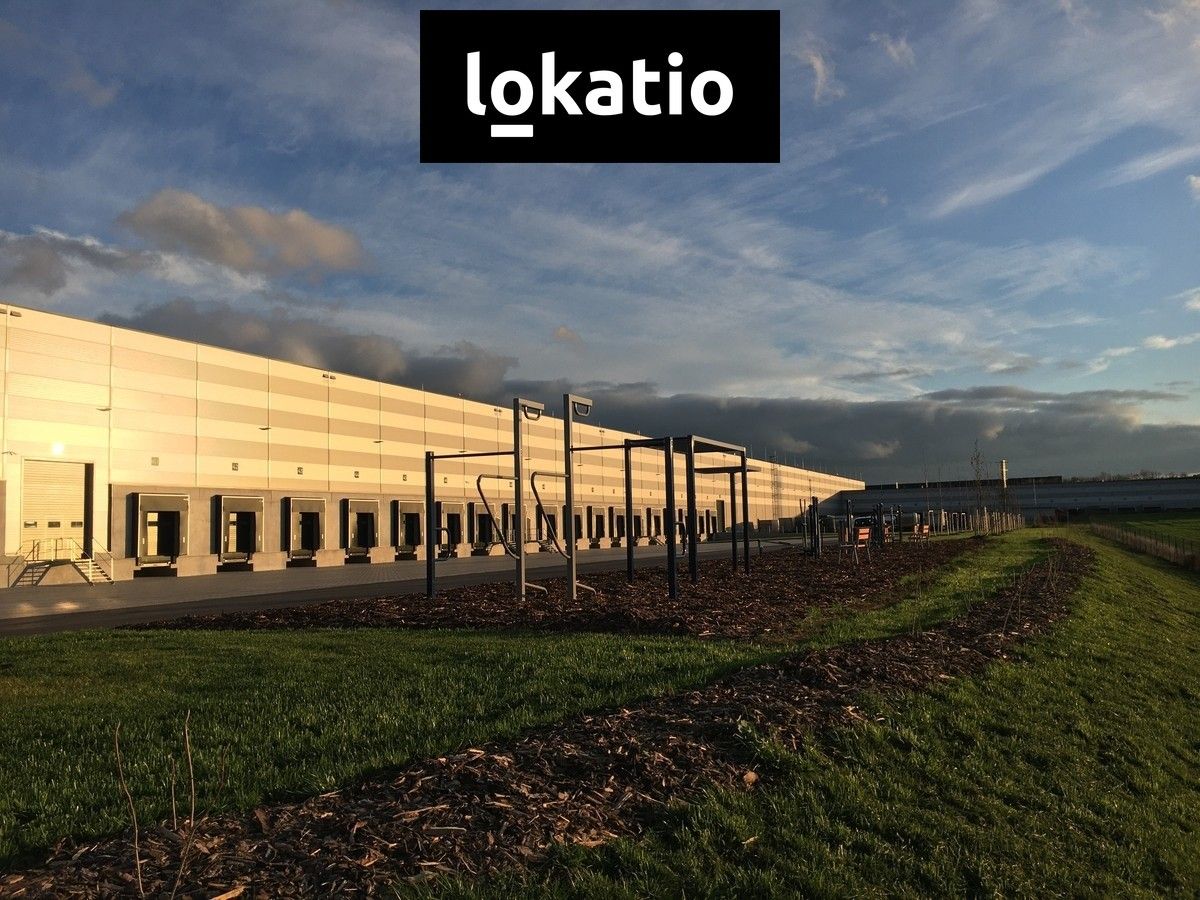 Pronájem sklad - Pavlov, 8 883 m²
