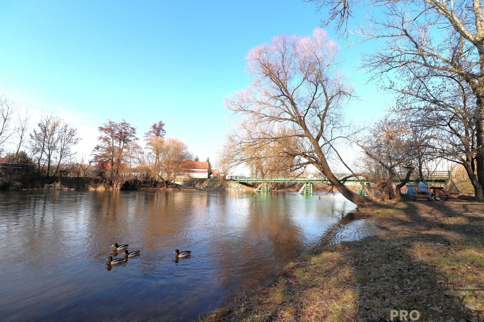 Prodej pozemek pro bydlení - Oblekovická, Znojmo Oblekovice, 1 283 m² - 5
