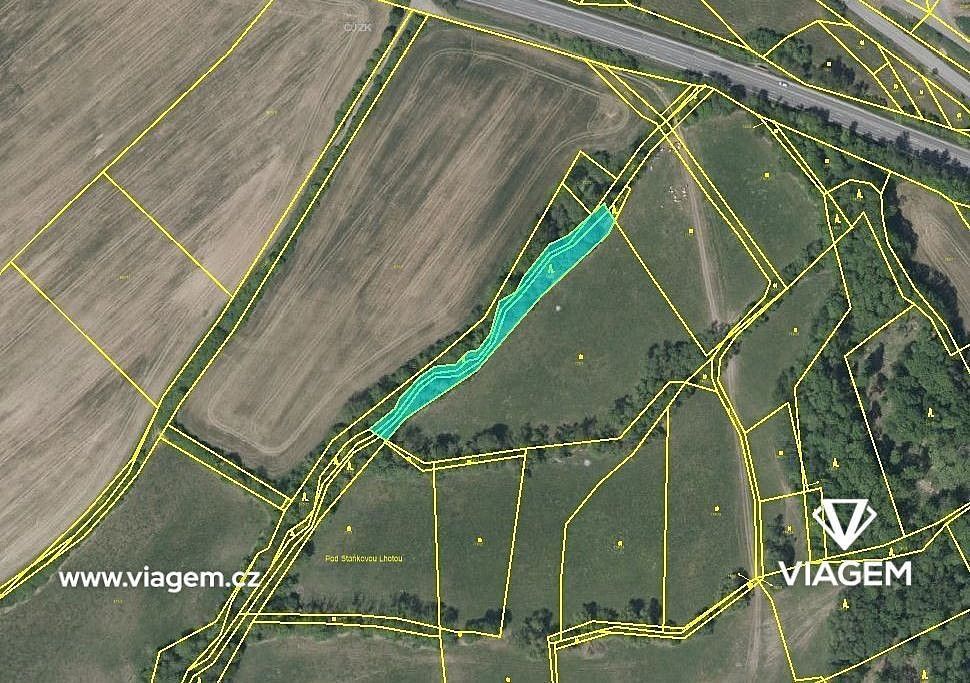 Les · Sobotka, okres Jičín, Královéhradecký kraj - 3