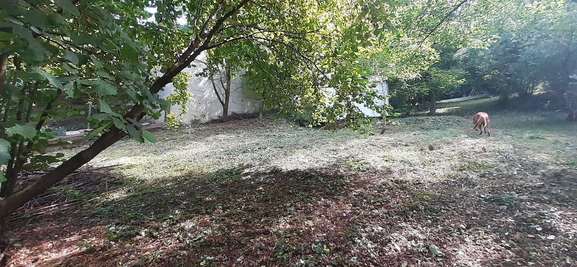 Prodej pozemek pro bydlení - U tunelu, Senohraby, okres Praha-východ - 5