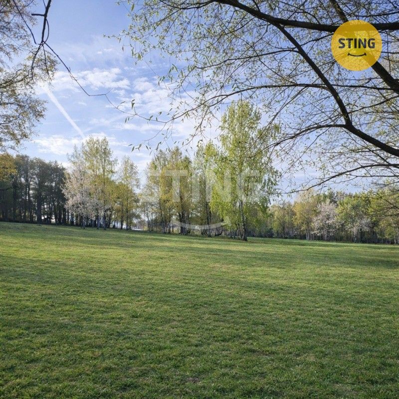 Prodej pozemek pro bydlení - Horní Planá, 382 26