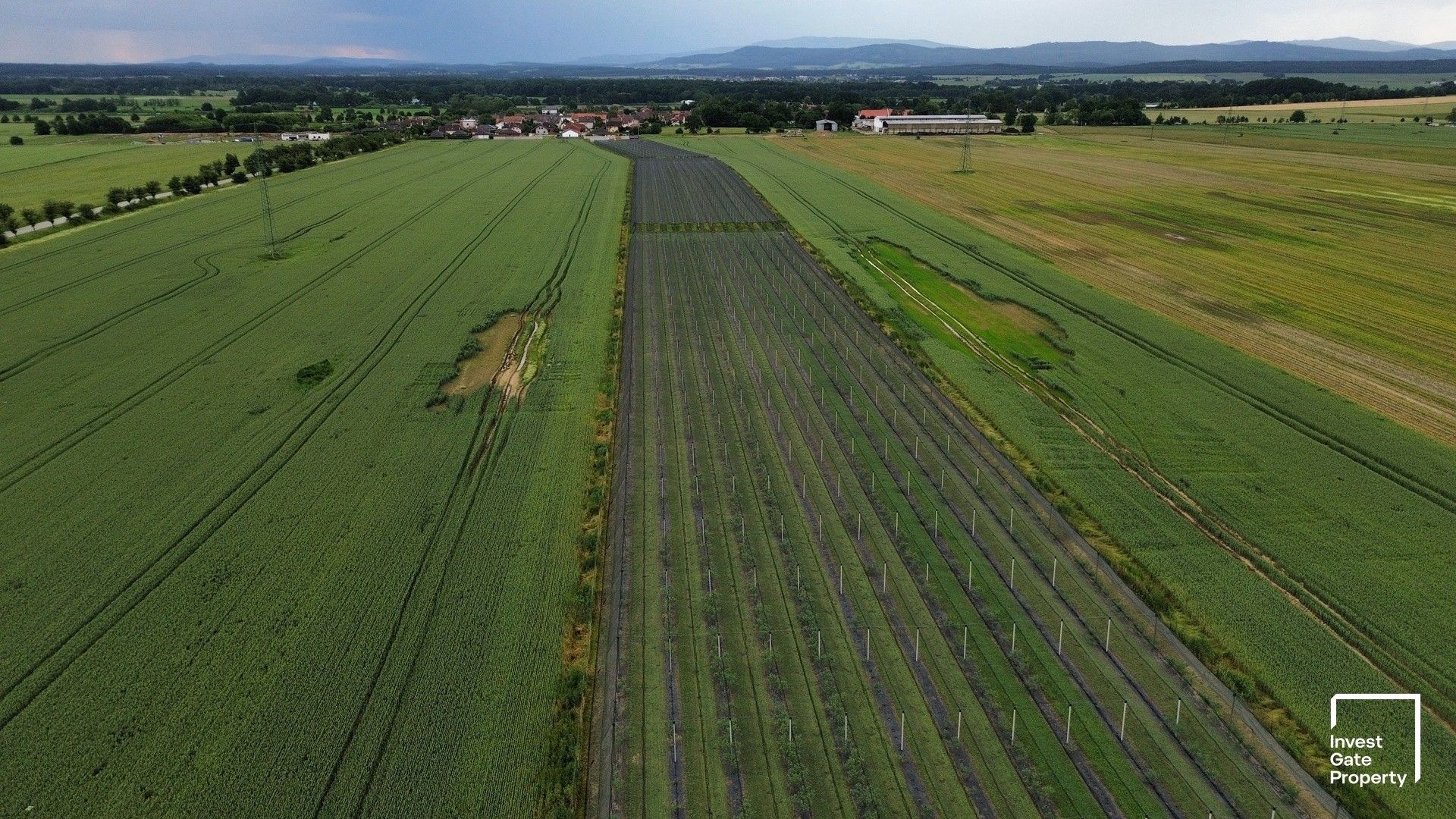 Komerční pozemky, Čejkovice - 2