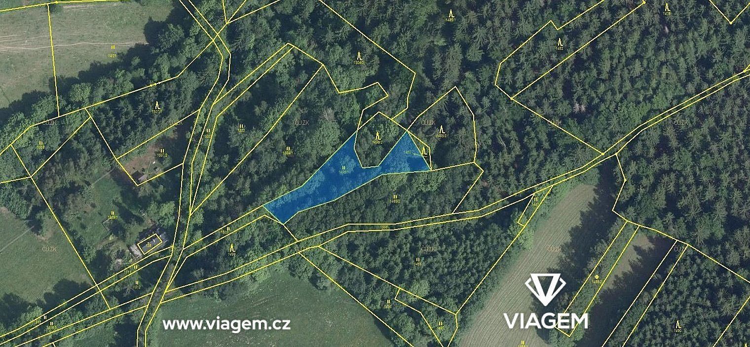 Lesy, Zlatá Olešnice, okres Jablonec nad Nisou, Liberecký kraj - 2