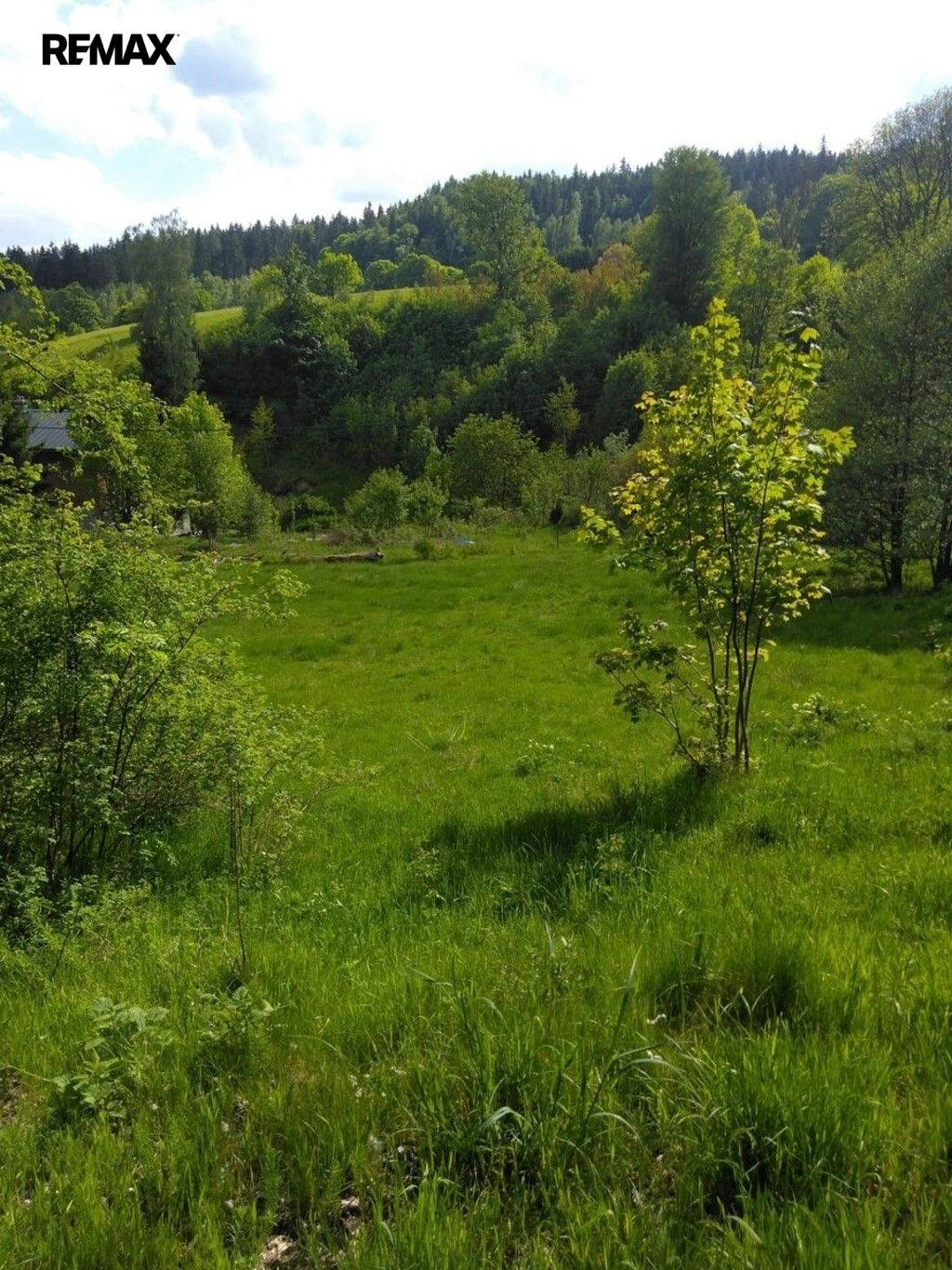 Prodej pozemek pro bydlení - Merklín, 1 000 m² - 5