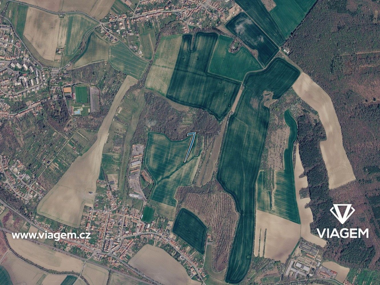 Les · Bučovice, okres Vyškov, Jihomoravský kraj - 3