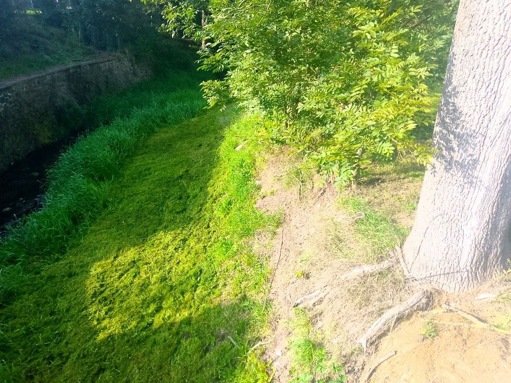 Prodej pozemek pro bydlení - Louny, 440 01