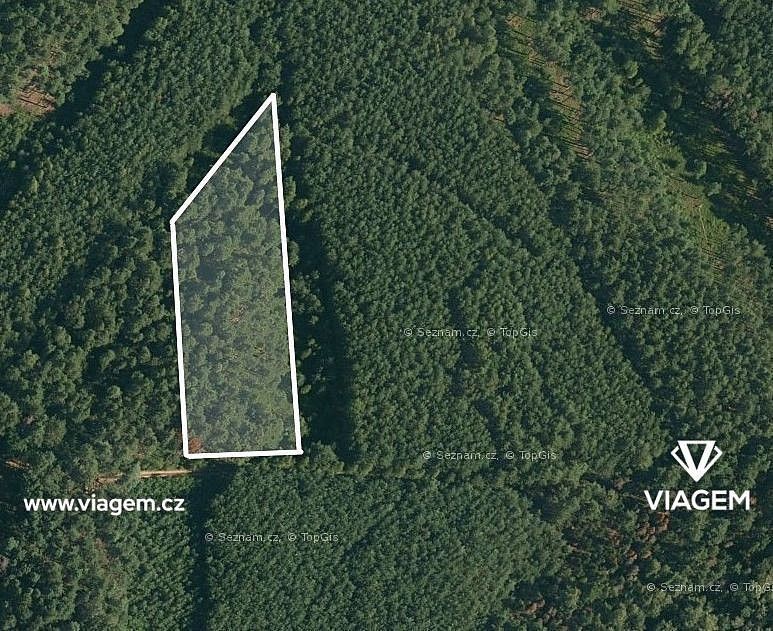 Prodej les - Vlastiboř, okres Tábor, Jihočeský kraj - 1