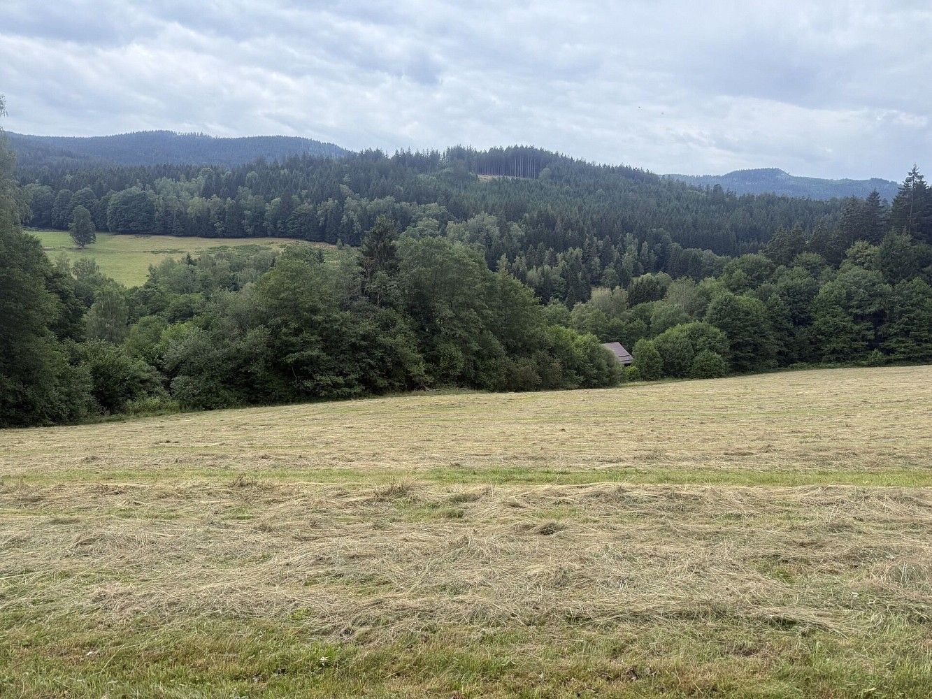 Louky, Hamry, okres Klatovy, Plzeňský kraj - 1