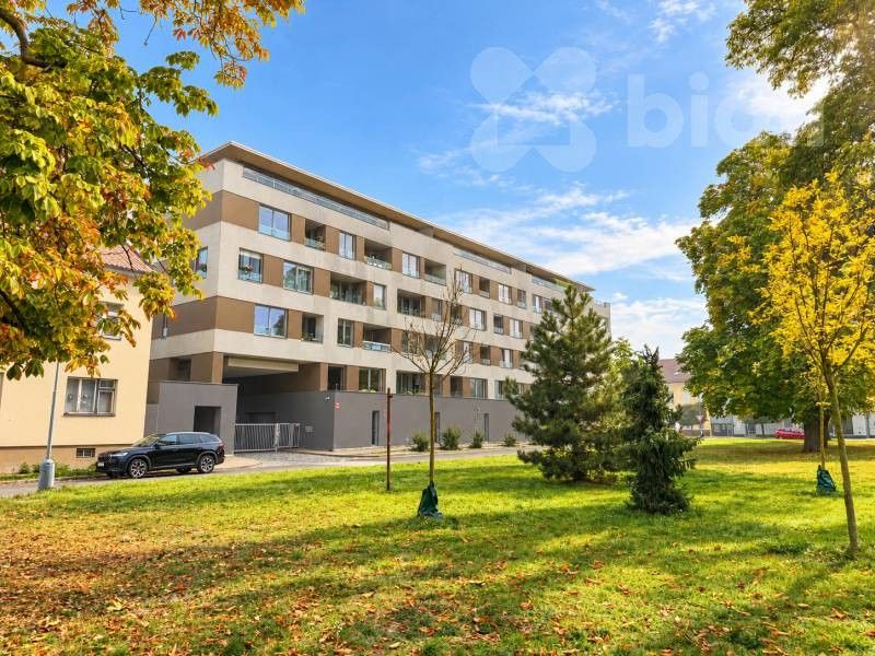 Byt 2+kk, 55 m²