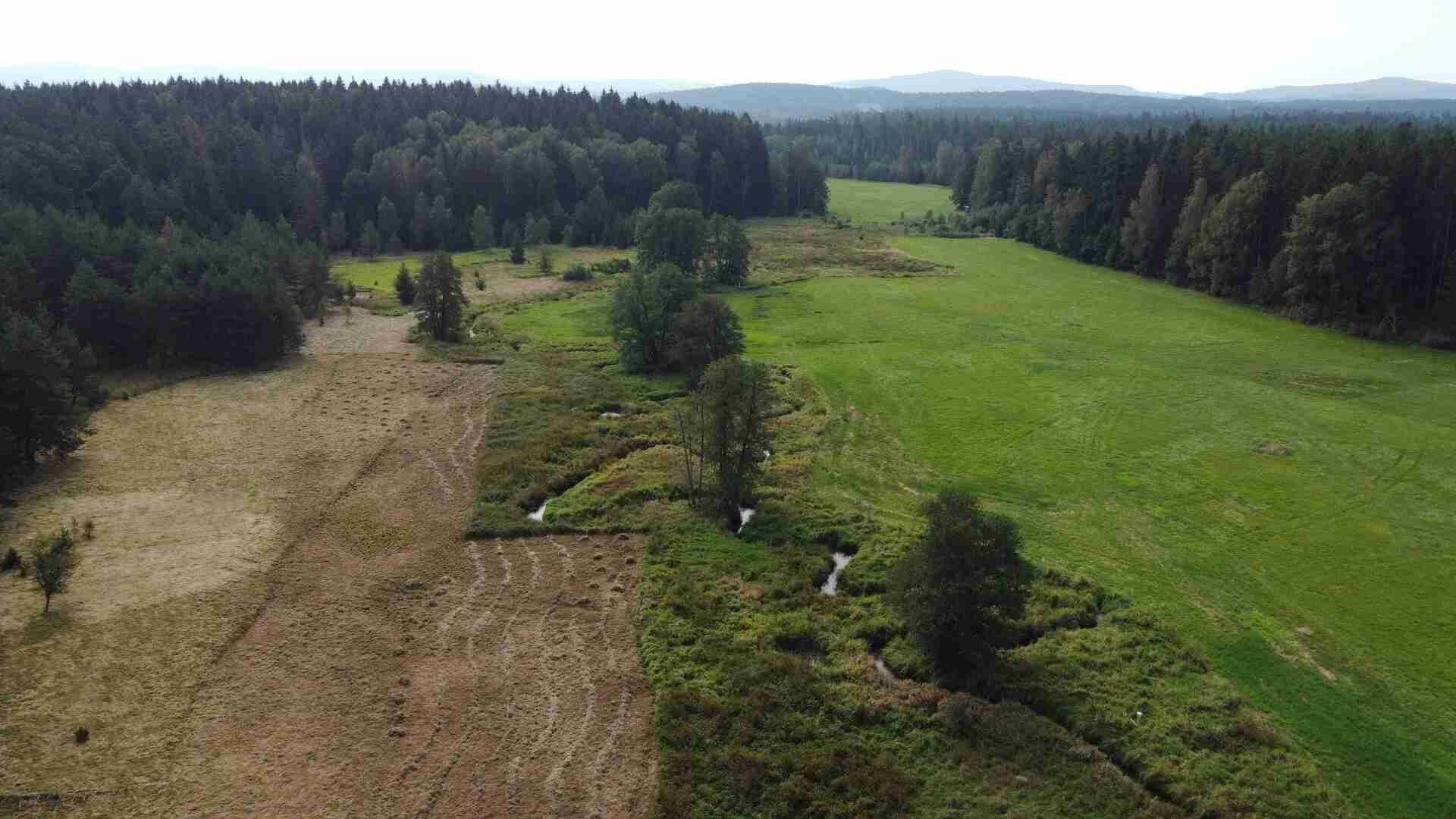 Zemědělský pozemek · 52 176 m² · Rozvadov - 3
