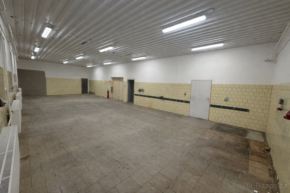 Pronájem obchodní prostory - Ždánice, 696 32