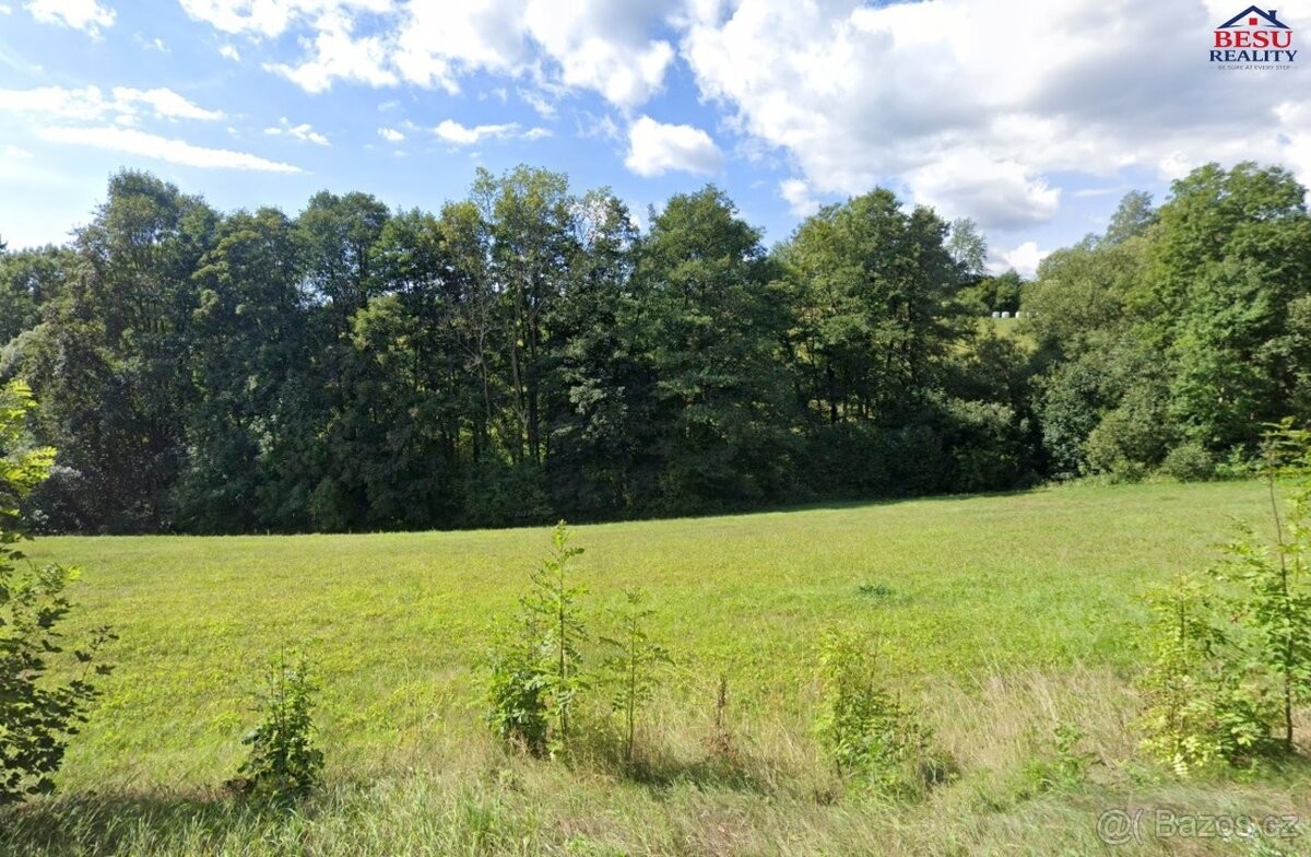 Ostatní, Železný Brod, 468 22 - 2