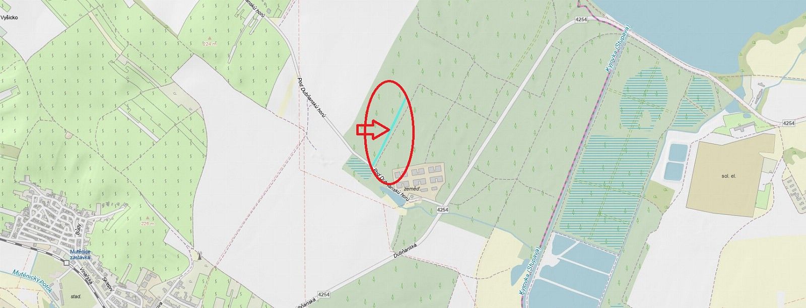 Prodej les - Mutěnice - Bdeněves, okres Hodonín, Jihomoravský kraj - 5