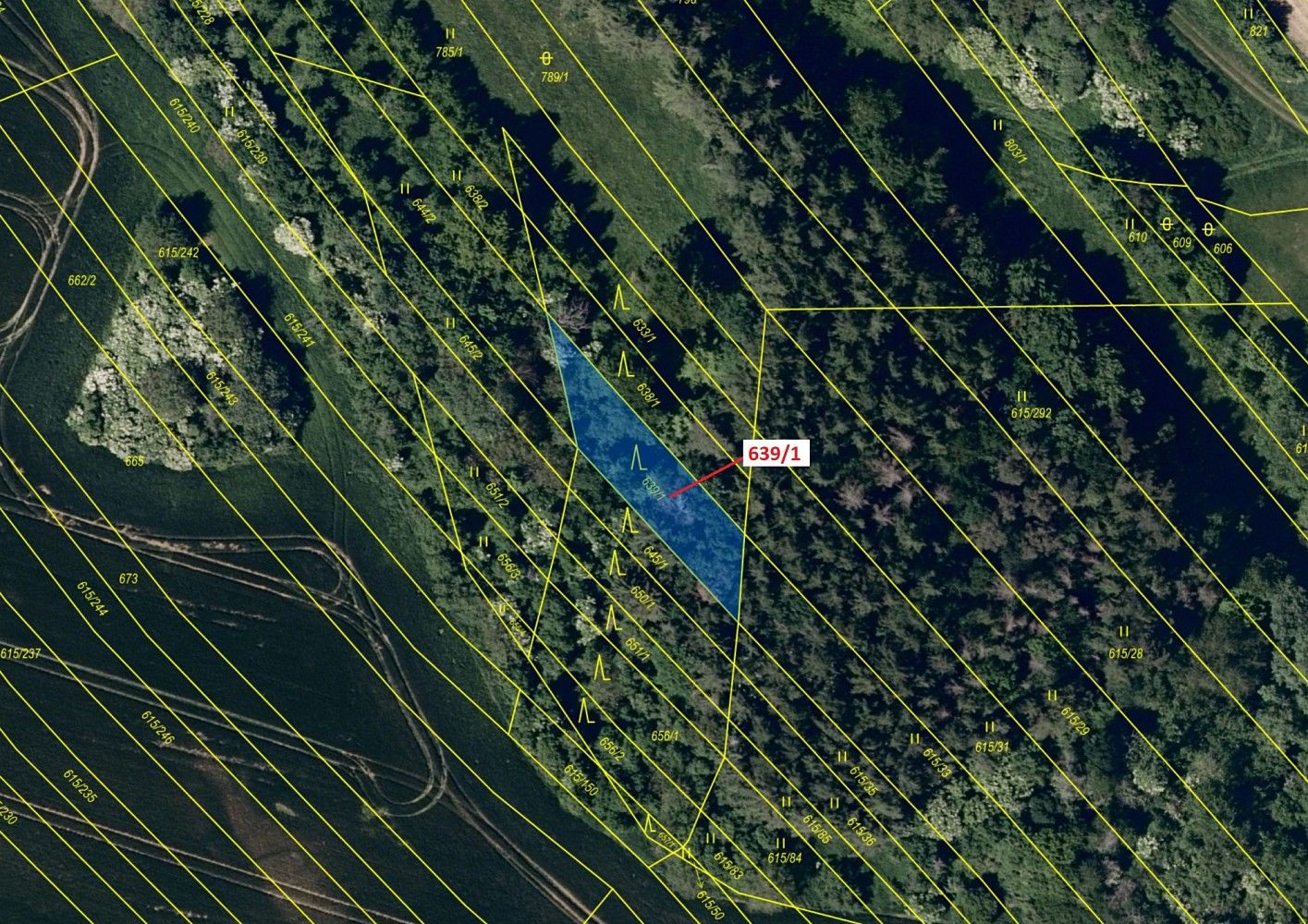 Lesy, Jalubí, okres Uherské Hradiště, Zlínský kraj - 2