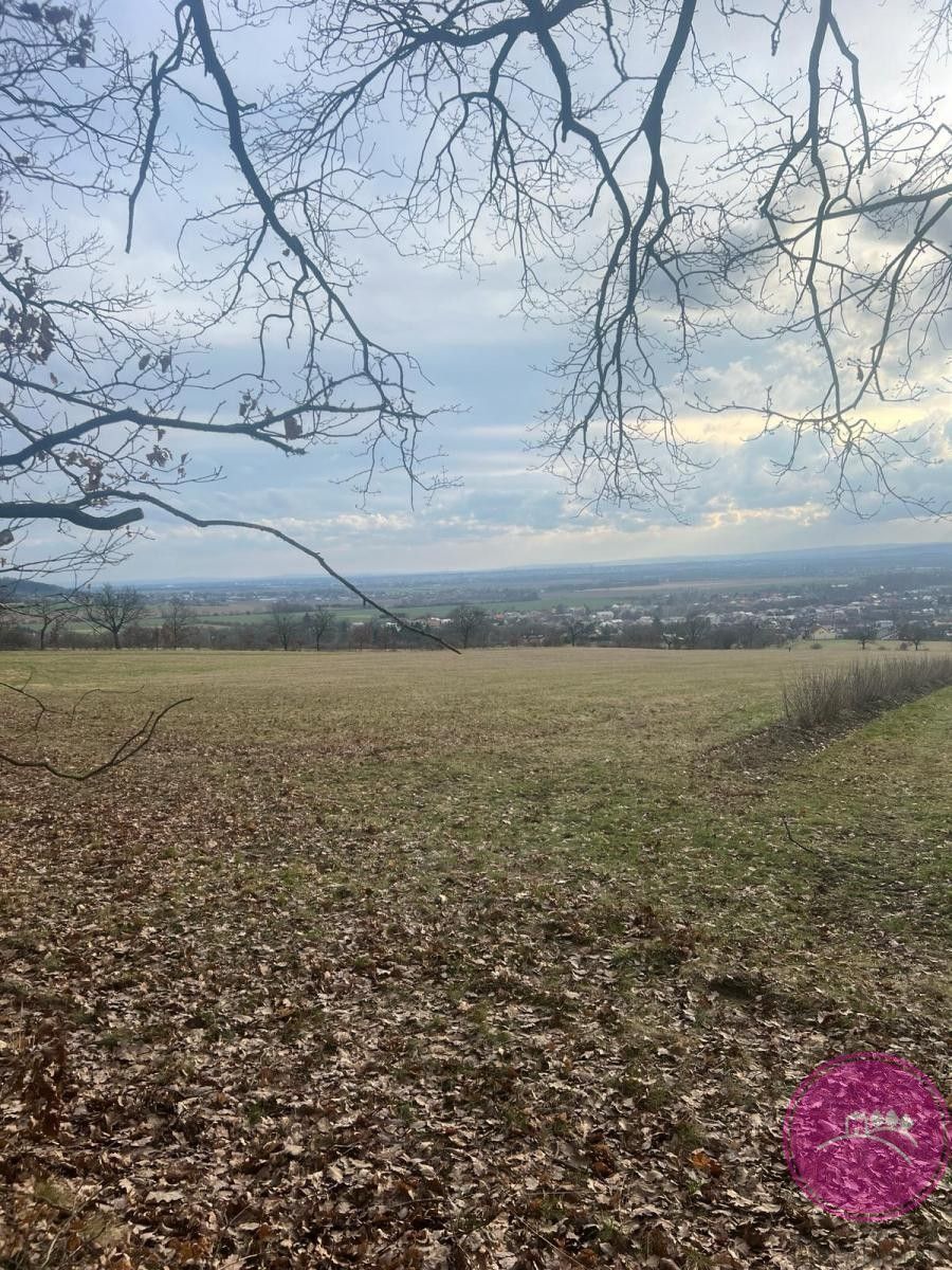 Prodej louka - Bělkovice-Lašťany, 27 123 m²