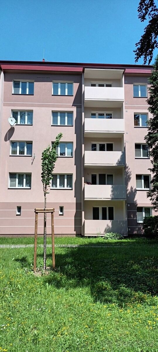 2+1, Valašské Meziříčí, 757 01, 56 m²