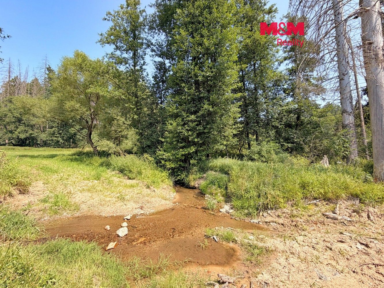 Rybníky, Dolní Hořice - Pořín, okres Tábor, Jihočeský kraj - 1
