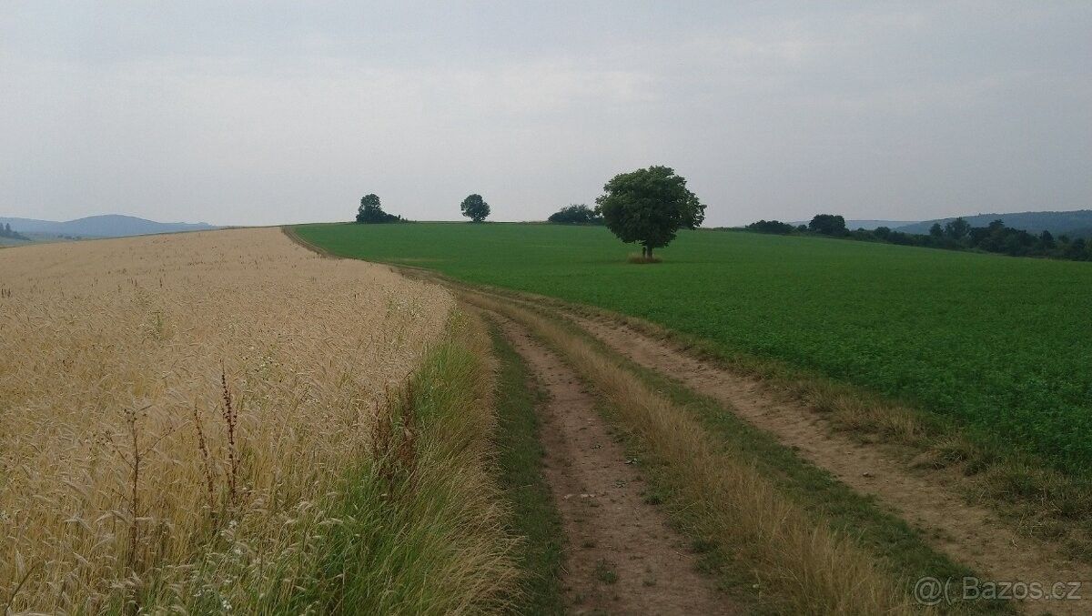 Pozemky pro bydlení, Bojkovice, 687 71