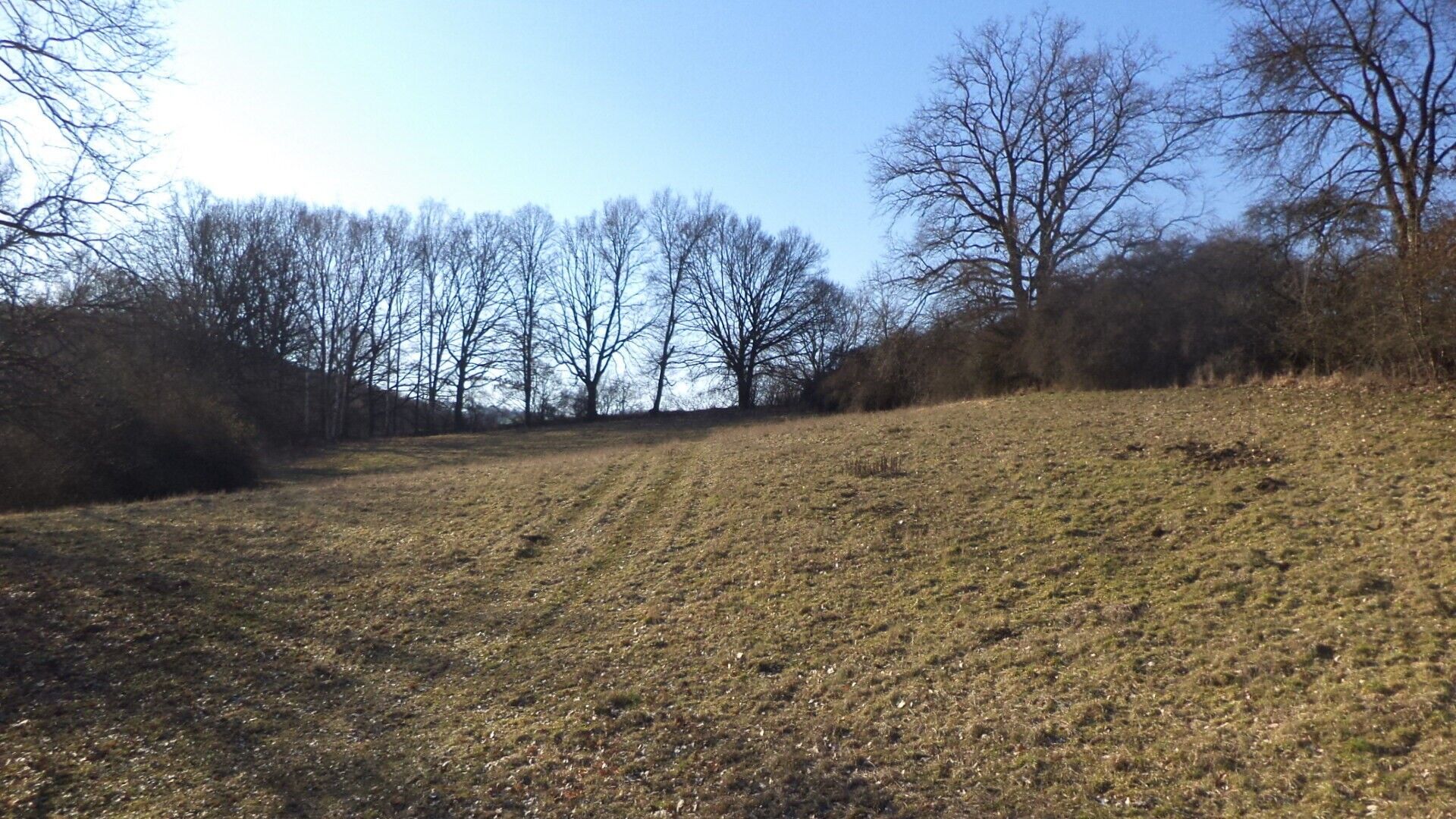 Zemědělský pozemek, 7 345 m²