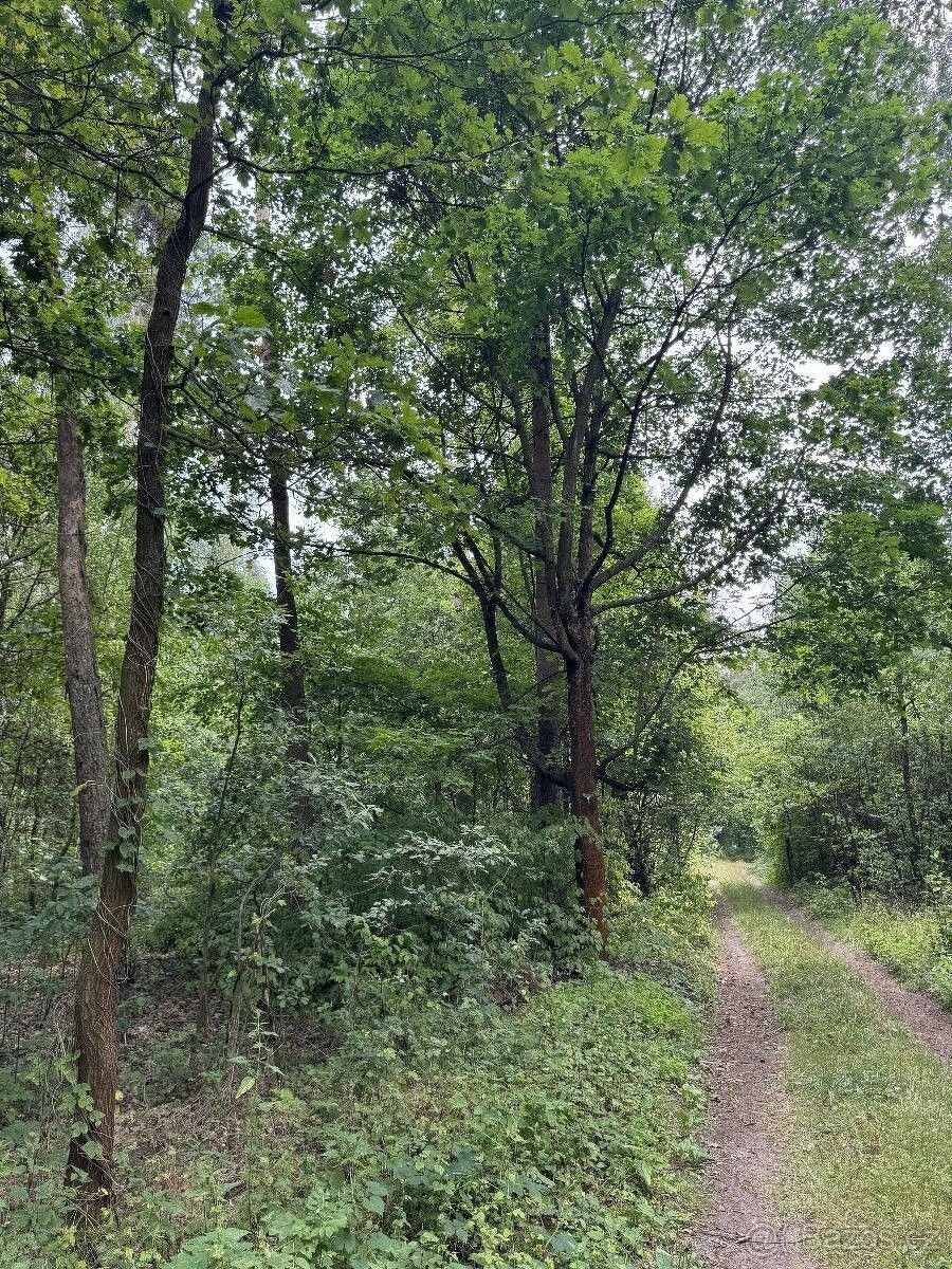 Prodej pozemek pro bydlení - Přelouč, 535 01