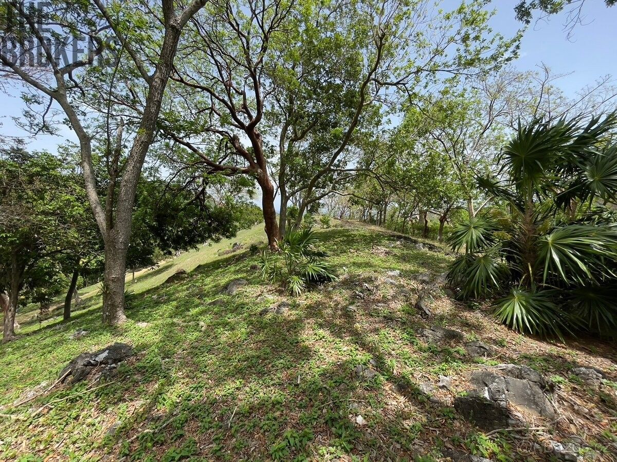 Prodej pozemek pro bydlení - 987 66, Zahraničí