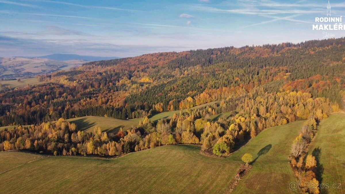 Prodej pozemek pro bydlení - Hanušovice, 788 33