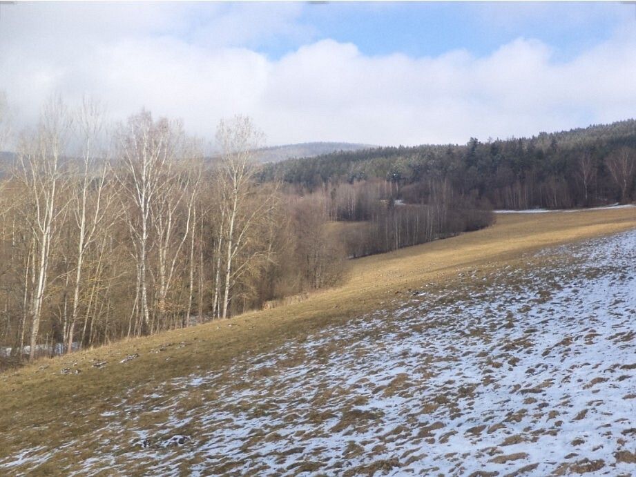 Louky, Chvalšiny - 1