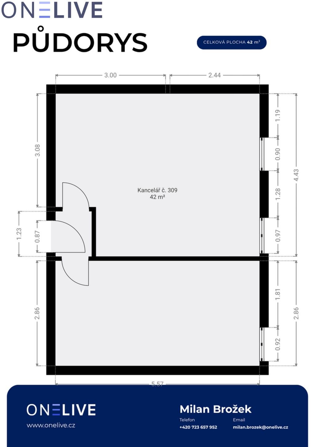 Kanceláře, Tylova, Plzeň Jižní Předměstí, 42 m² - 2