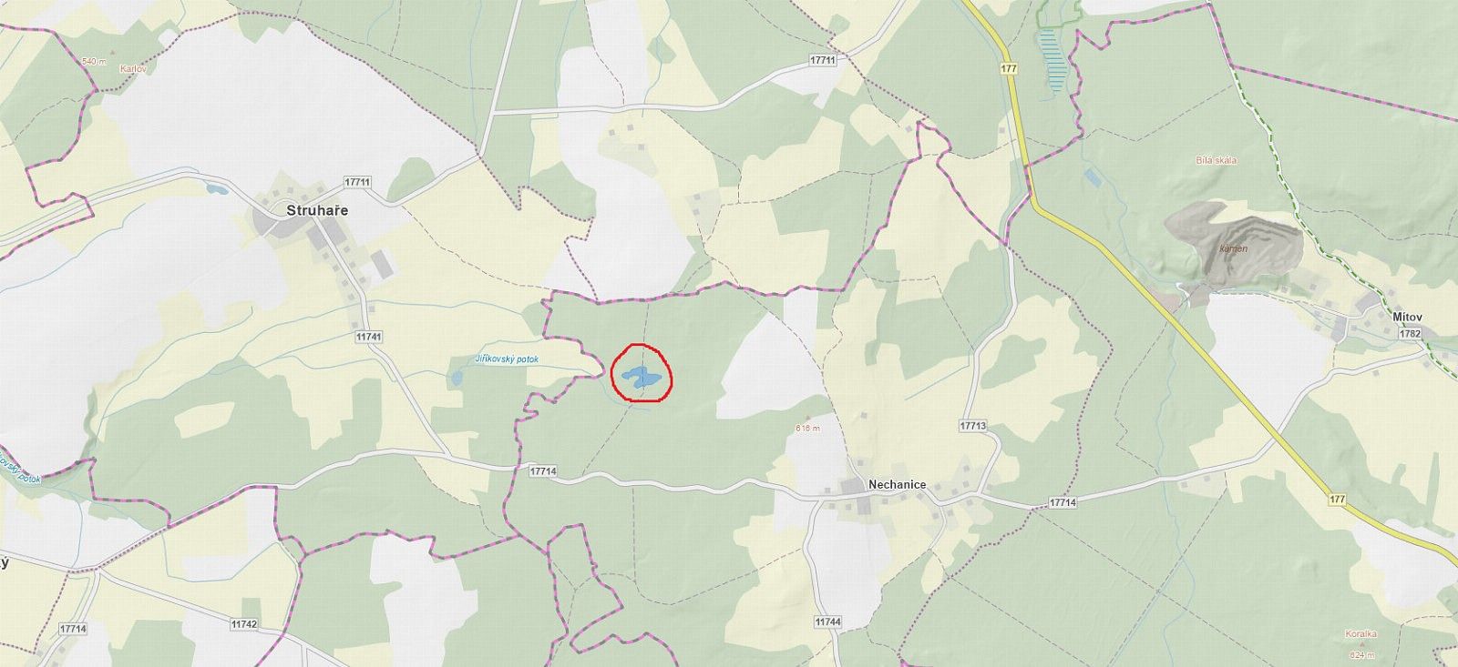 Les · Louňová - Nýřany, okres Plzeň-jih, Plzeňský kraj - 4