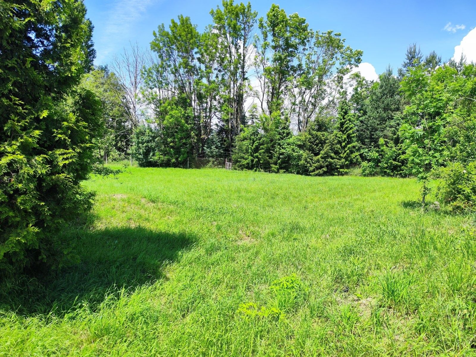 Pozemek pro bydlení · 1 655 m² · Řimice, Bílá Lhota - 4