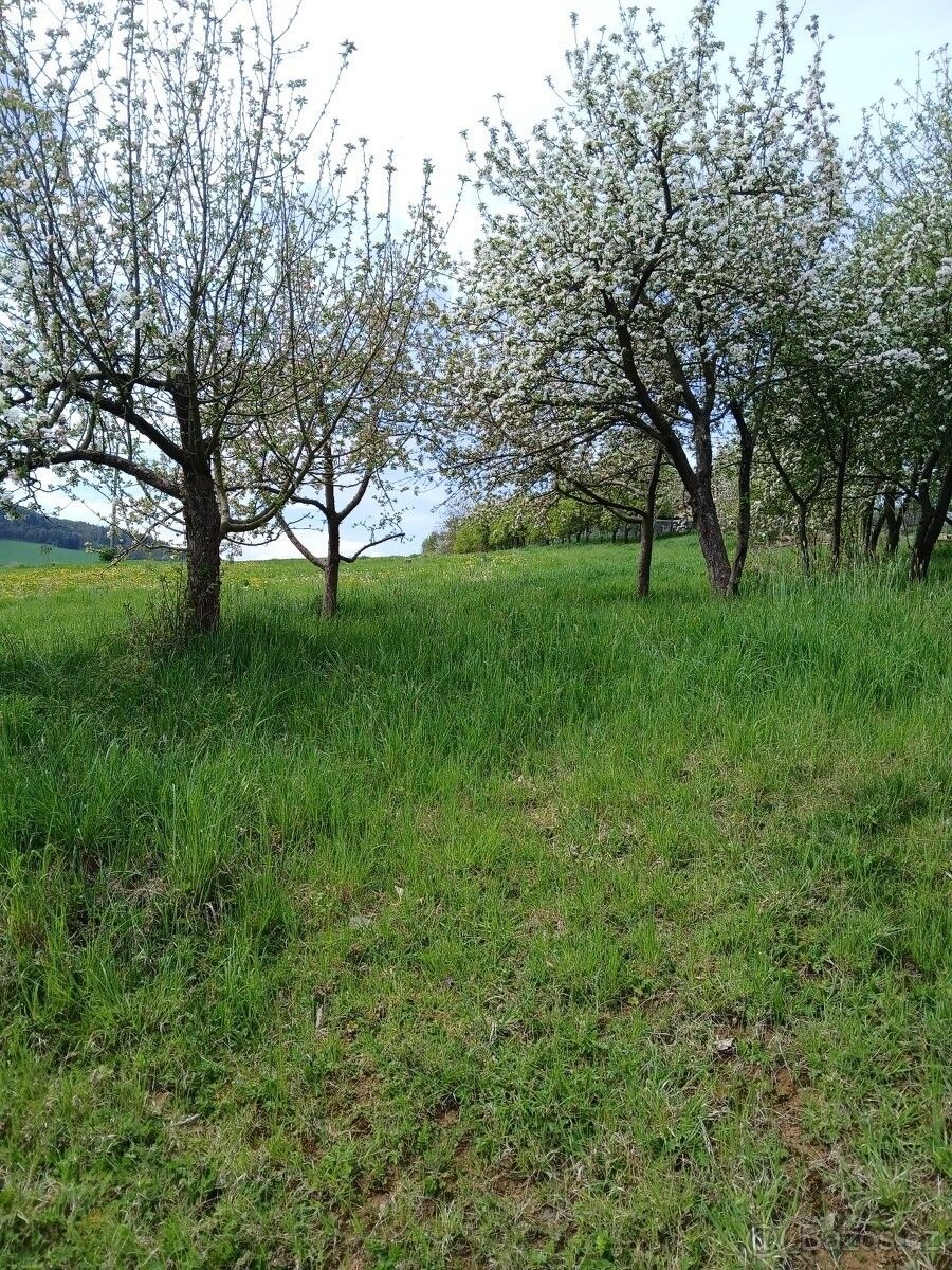 Pronájem pozemek pro bydlení - Švihov, 340 12