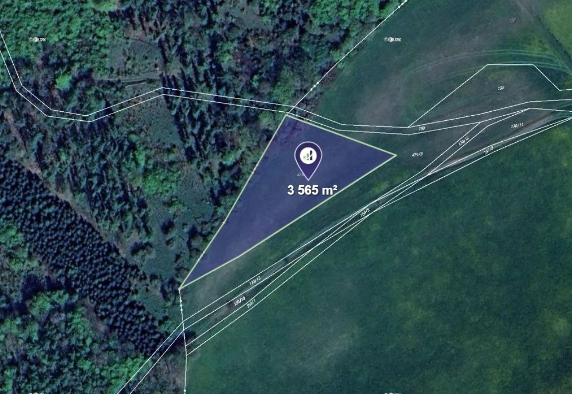 Zemědělské pozemky, Hracholusky, 3 565 m²