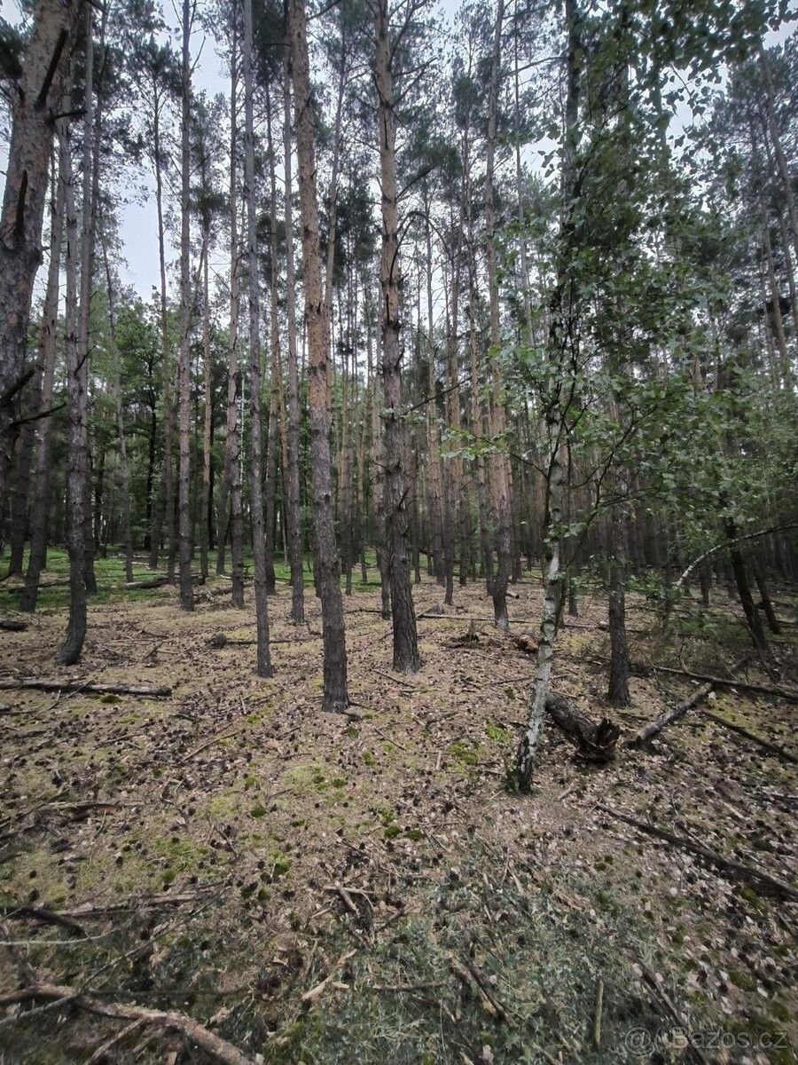 Pozemek pro bydlení · Byšice, 277 32 - 3