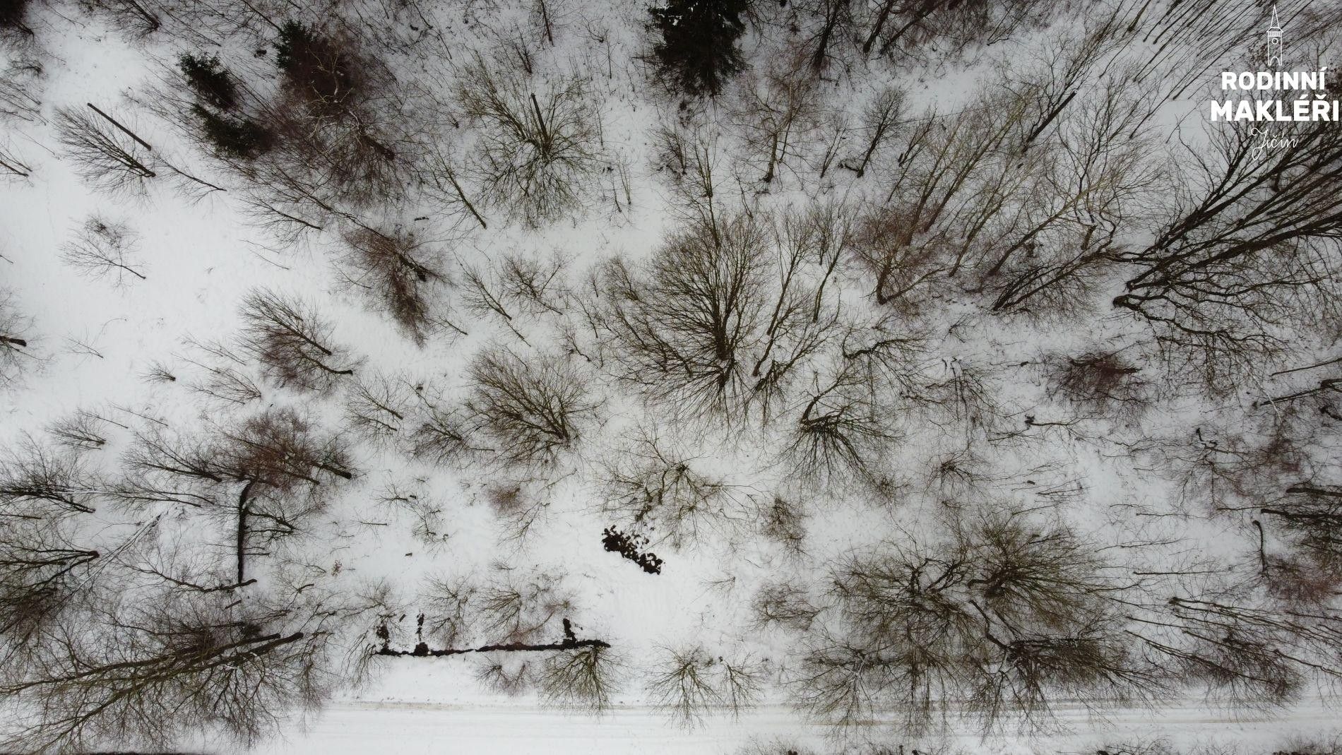 Prodej zemědělský pozemek - Heroltice, Štíty, 1 m²