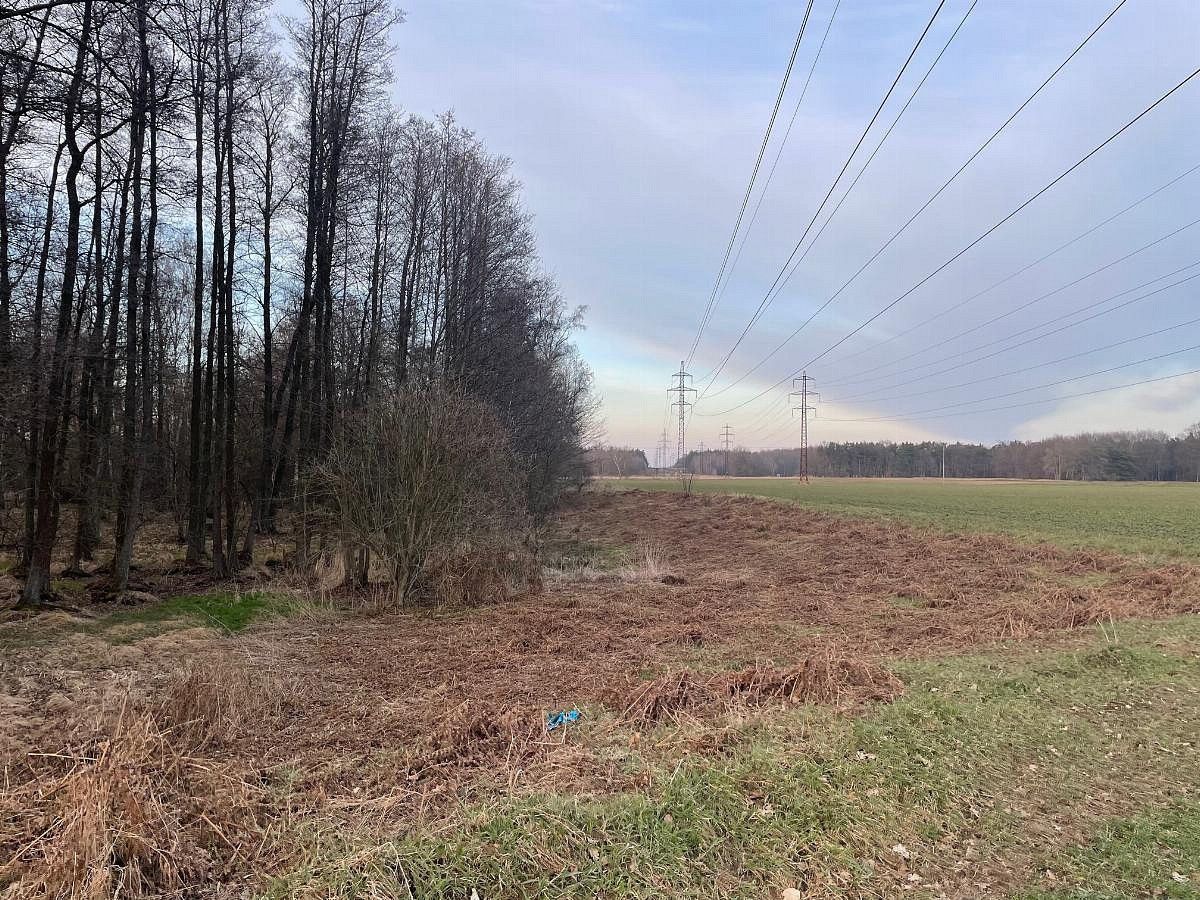 Ostatní, Černá u Bohdanče, okres Pardubice, Pardubický kraj - 2