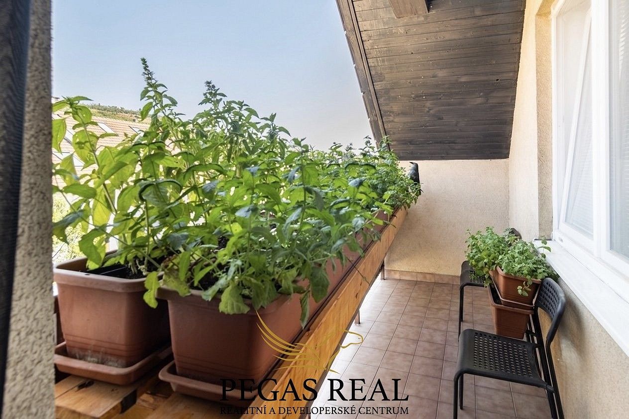 3+kk, Brno - Židenice, okres Brno-město, Jihomoravský kraj, 94 m² - 2