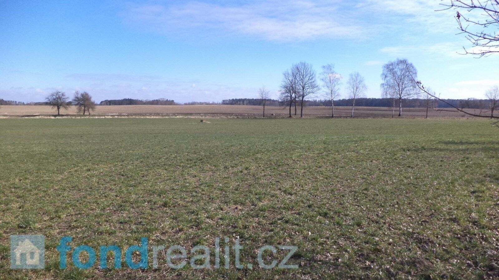 Zemědělský pozemek · 10 919 m² · Stříbřec - 4