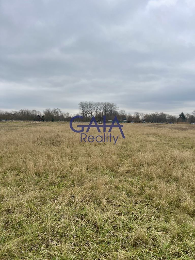 Zemědělský pozemek · Veselí nad Moravou - 4