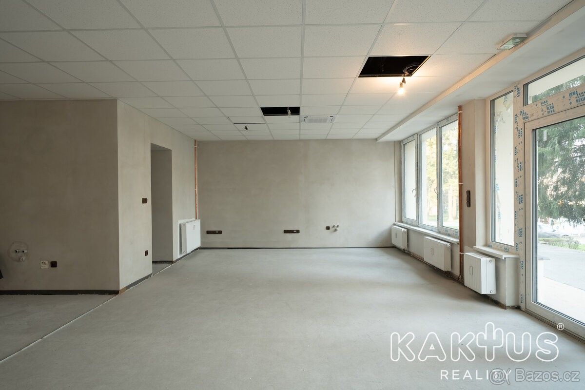 Prodej ostatní - Kopřivnice, 742 21 - 5