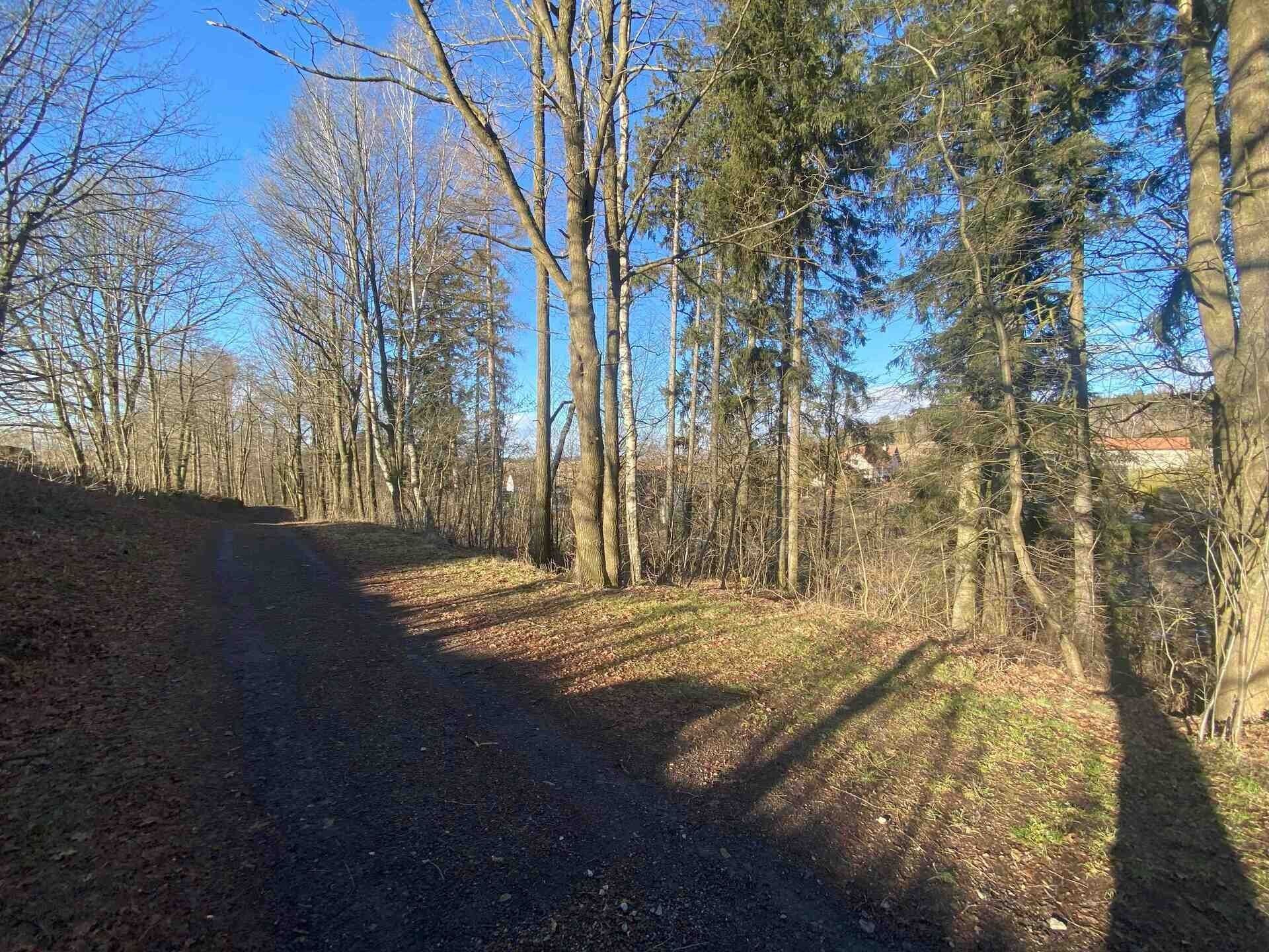 Prodej pozemek - Nová Bystřice, 3 407 m² - 5