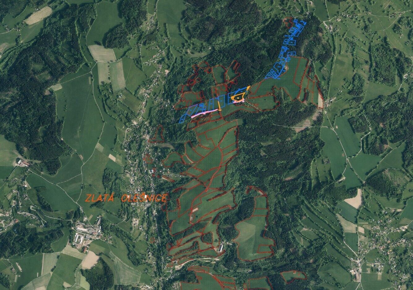 Prodej zemědělský pozemek - Zlatá Olešnice, 9 m²